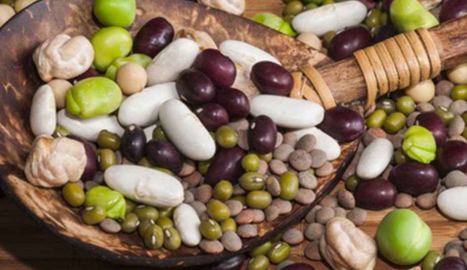 Manger-Lentilles